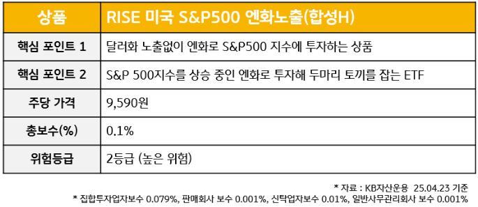 'rise 미국 s&p500 엔화노출' etf 이미지 배너.